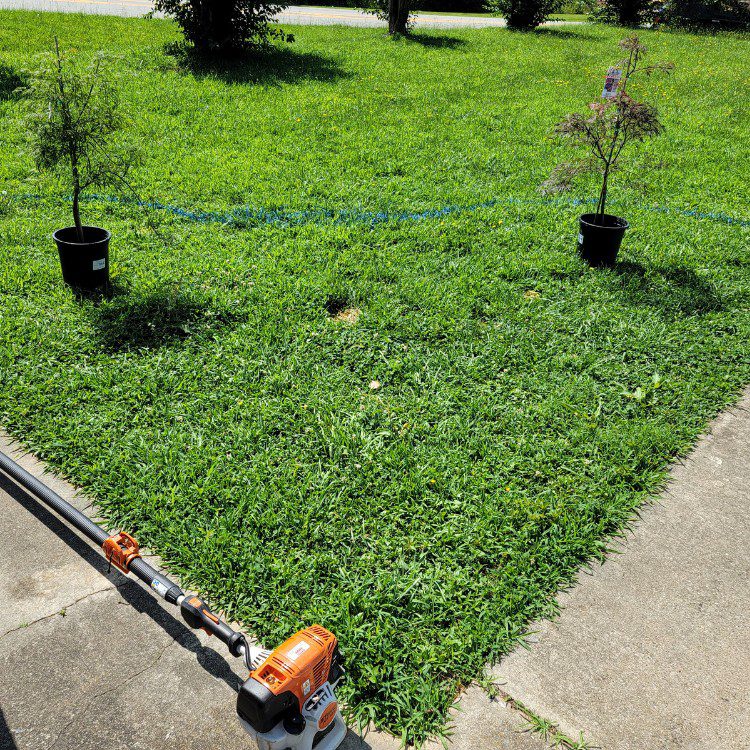 Tree services in Cornelia, GA Tree services in Cornelia, GA
