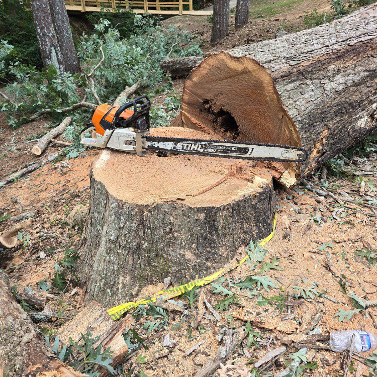 Tree services in Cornelia, GA Tree services in Cornelia, GA