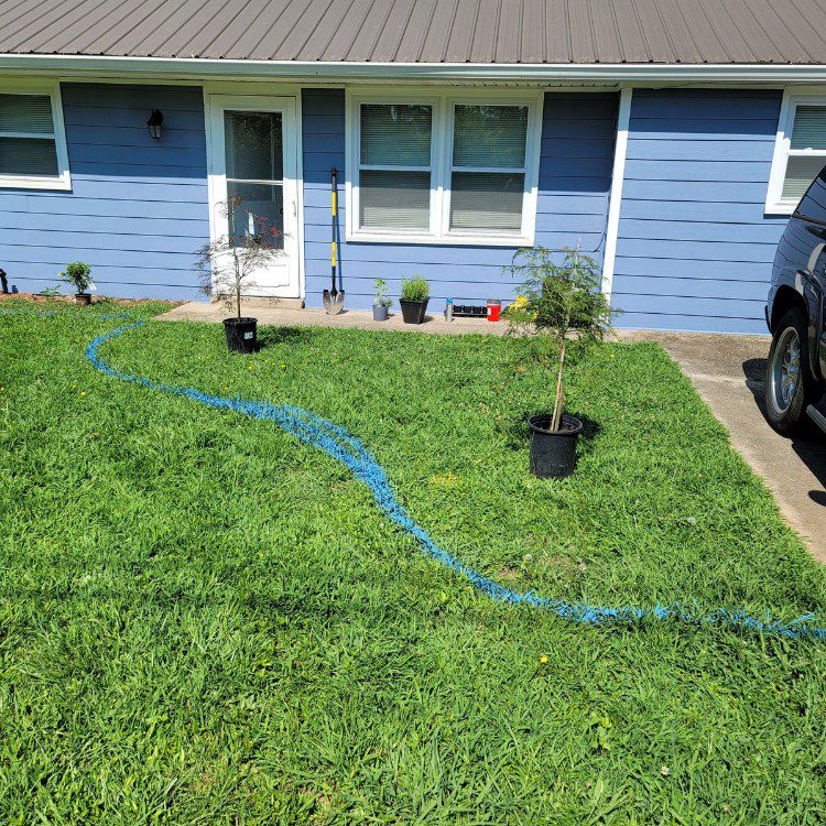 Tree services in Cornelia, GA Tree services in Cornelia, GA