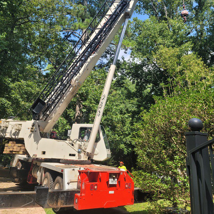 Tree services in Cornelia, GA Tree services in Cornelia, GA